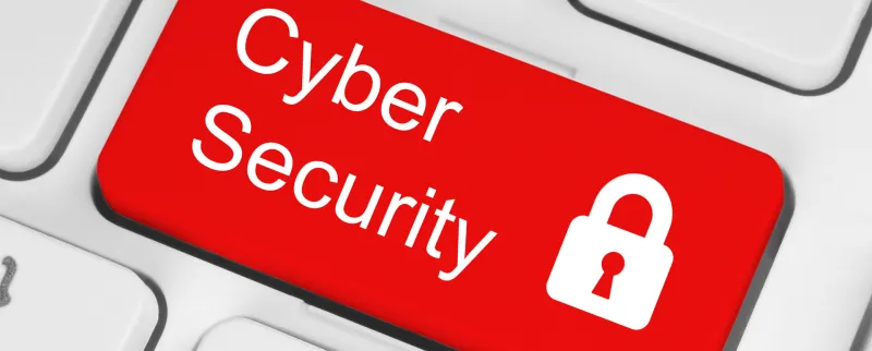 Rowlett Cyber Security, Remote Security Operation Centre and Endpoint Detection Response